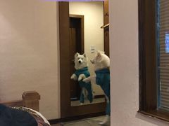 -太子岭滑雪场