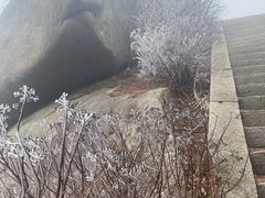 -崂山巨峰游览区