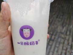 -一只酸奶牛(八一路店)