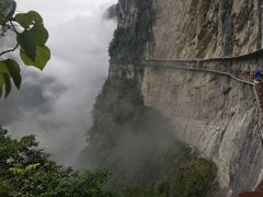 -鹿院坪生态旅游景区