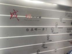 -东方美妍