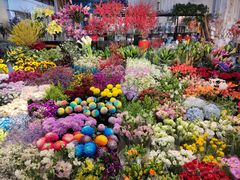 -双季花艺园艺市场(浦东店)
