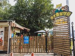 -柴犬高等学院·狗咖·柴犬售卖·宠物训练