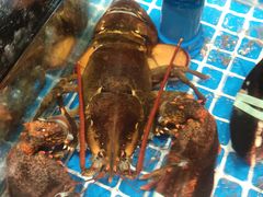 -闽海肴(北辰荟店)