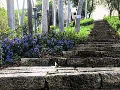 -招商局历史博物馆