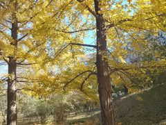 -国家植物园南园