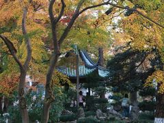 -苏州大学(天赐庄校区)