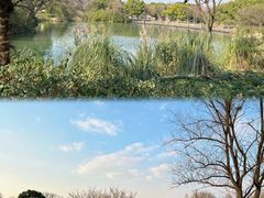 -西溪国家湿地公园