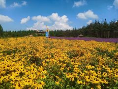 -北纬44度·金珠花海休闲农业旅游景区