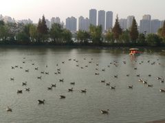 -艾溪湖湿地公园