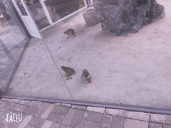 -长白岛森林公园