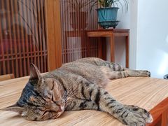 -龙华寺
