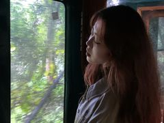 -合肥滨湖国家森林公园