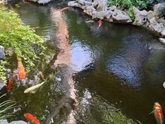 -鲤院·新中式美学·庭院餐厅(夫子庙店)