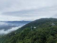 -呀诺达热带雨林