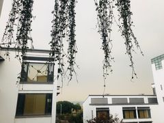 -苏州香山国际大酒店