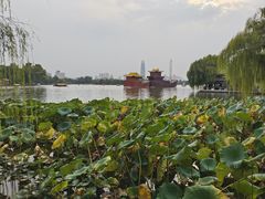 -海底捞火锅(明湖路店)