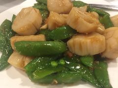 -岭南小馆
