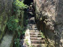 -鲁山国家森林公园