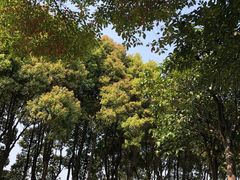 -美兰湖景区