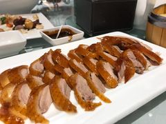 -金蝉食府(维吉奥广场店)