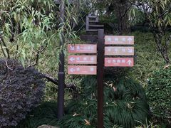 -乌山风景区