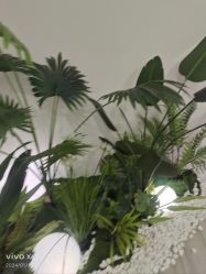 -HEYAN荷妍专业脱毛连锁机构