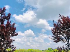 -尚湖风景区