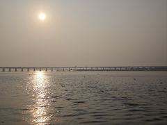 -宝安西湾红树林湿地公园