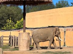 -沈阳森林动物园