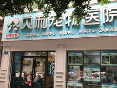 -贝利宠物医院·骨科·眼科·肿瘤转诊中心(南坪诊疗中心)