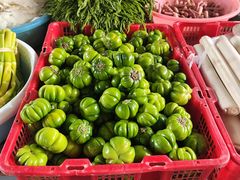 -德宏芒市国际机场