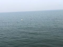 -东疆建设开发纪念公园