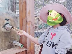 -横道河子东北虎林园