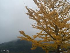 -塔川景区