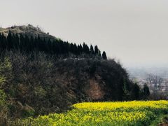 -兴教寺