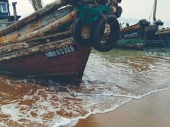 -青岛沙子口国家中心渔港