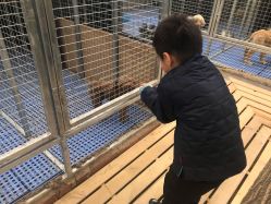 -萌宠亲子动物乐园(槐房万达店)