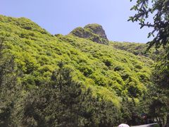-少华山国家森林公园