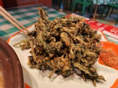 -向外鱼乐·土菜·虹鳟鱼