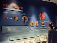 -中国地质大学逸夫博物馆