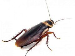 -大鼓米线(浦东长泰店)