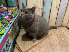 -小时光咖啡馆(开森度假森林店)
