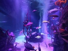 -沈阳海洋探索中心