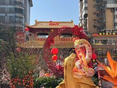 -越秀西湖花市(广州城市广场花卉店)