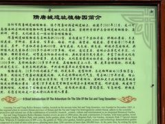-洛阳市隋唐城遗址植物园