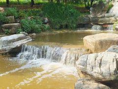 -北京西山国家森林公园