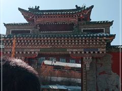 -塔尔寺-菩提树