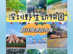 -深圳野生动物园