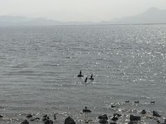 -深圳湾公园(南山区)